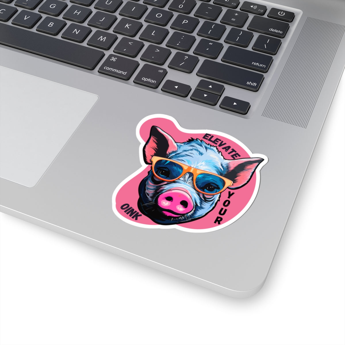 Cool pig