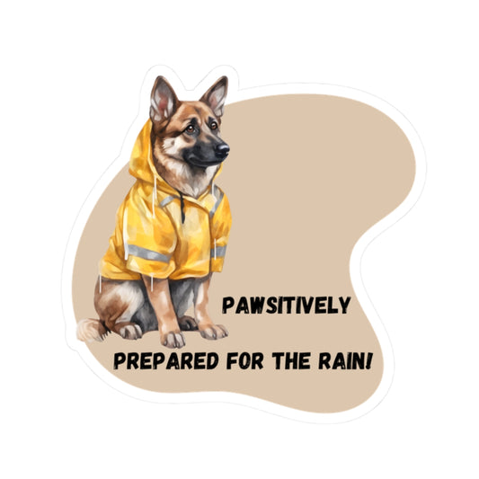 Dogs - Pawsitively prepared for the rain