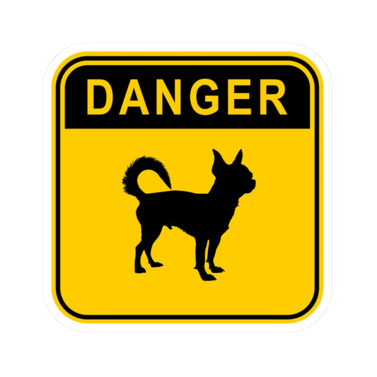 Chihuahua - Danger