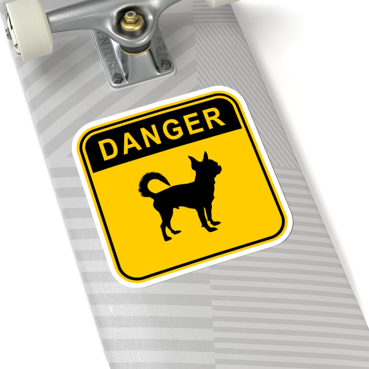 Chihuahua - Danger